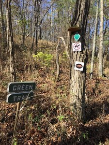 The Green Trail has some great obstacles like a super-high log roll and skinnies.