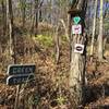 The Green Trail has some great obstacles like a super-high log roll and skinnies.