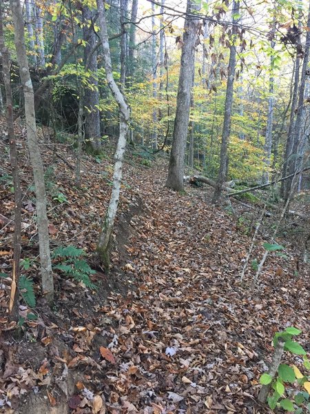 You might have to search hard to find the trail under the leaves in the fall.