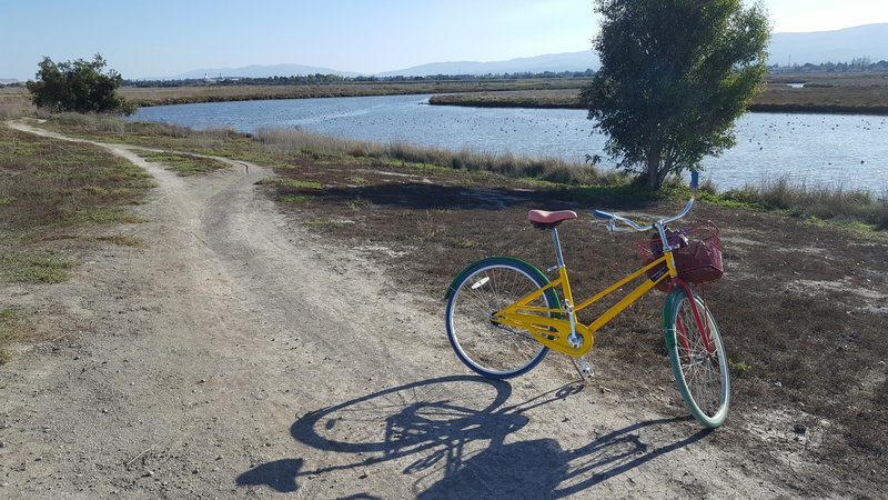 Google Bike spotted along Adobe Creek Loop Trail.