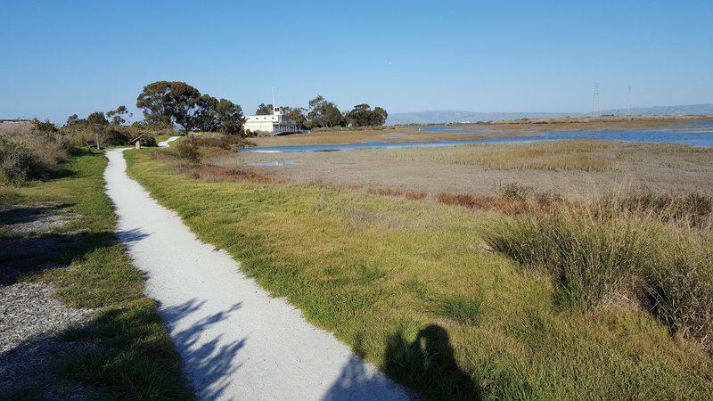 Marsh Front Trail approaching historic Sea Scout marina.