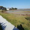 Marsh Front Trail approaching historic Sea Scout marina.