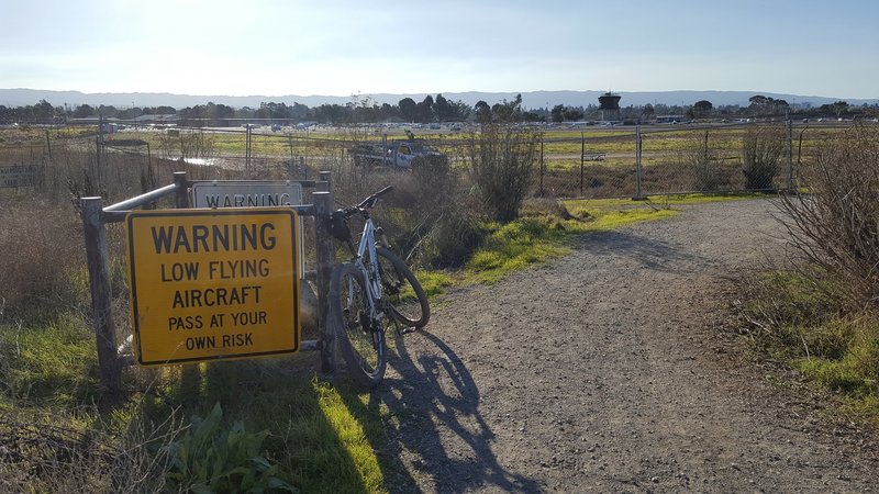 Aerial hazards along San Francisquito Creek Trail.