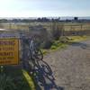 Aerial hazards along San Francisquito Creek Trail.