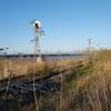 Abandoned railroad near Ravenswood Open Space.