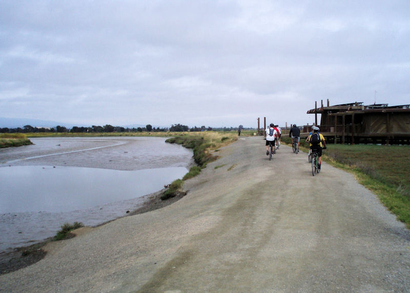 San Francisquito Creek Trail near interpretive center.