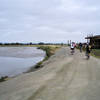 San Francisquito Creek Trail near interpretive center.