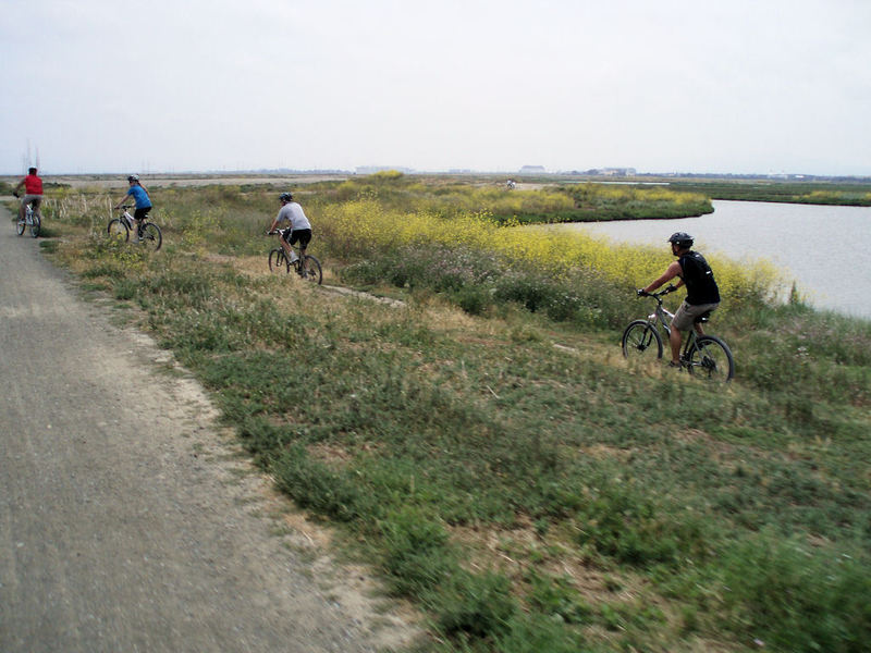 Adobe Creek Loop "singletrack".