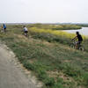 Adobe Creek Loop "singletrack".