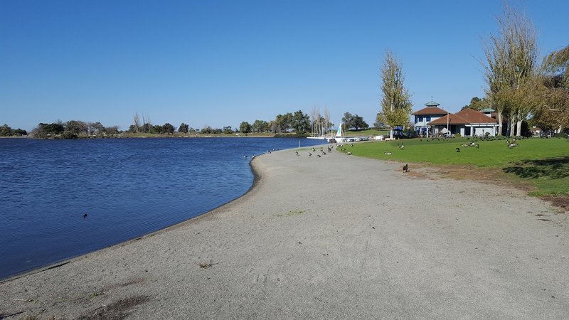 Beach on Shoreline Lake.