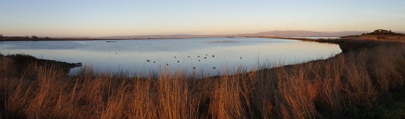 Bay views next to Shoreline Park.