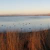 Bay views next to Shoreline Park.