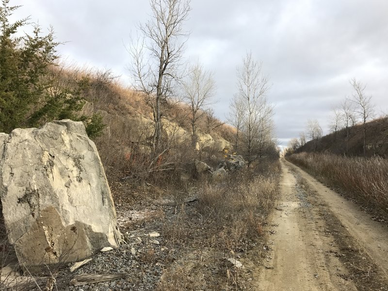 The first of many sections carved out to maintain the grade of the railbed.  Some of these are 50' deep!