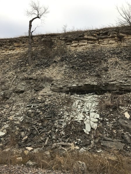 Probably the deepest cutout for the railbed.  This is a great place to search for fossils!