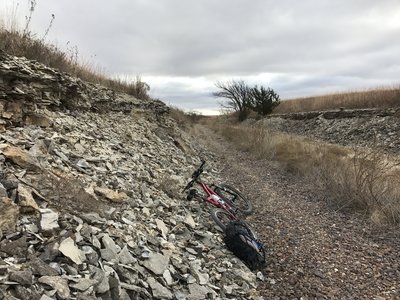 Another great fossil hunting location