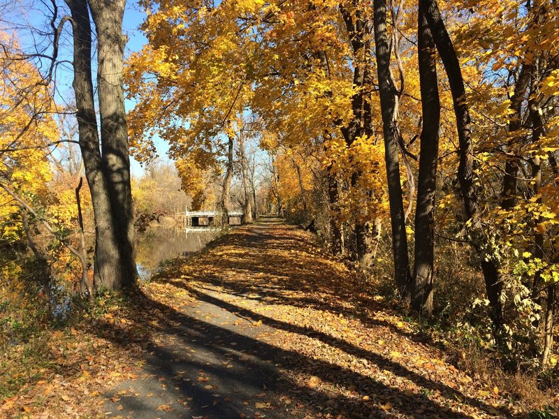 Easat coast Greenway looking at Bakers basin bridge