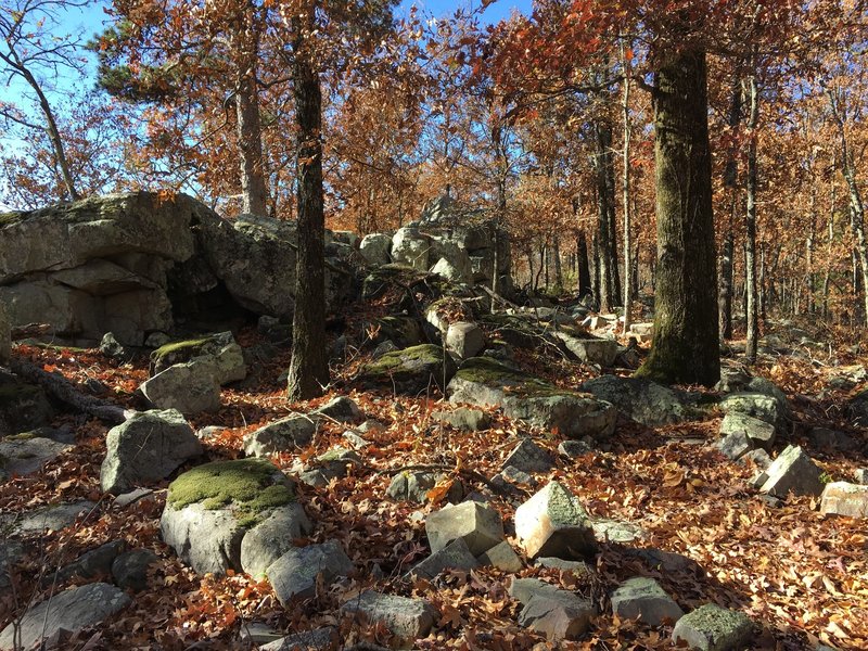 Challenging rock garden on the Rock Ridge Loop.