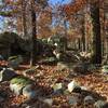 Challenging rock garden on the Rock Ridge Loop.