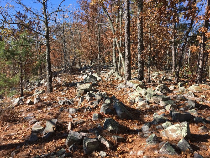 Rocky Ridge Loop