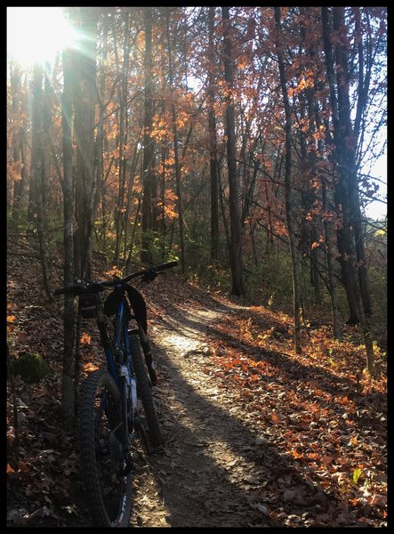Trails here can be soft when wet, but when the conditions are dry, they are perfect-