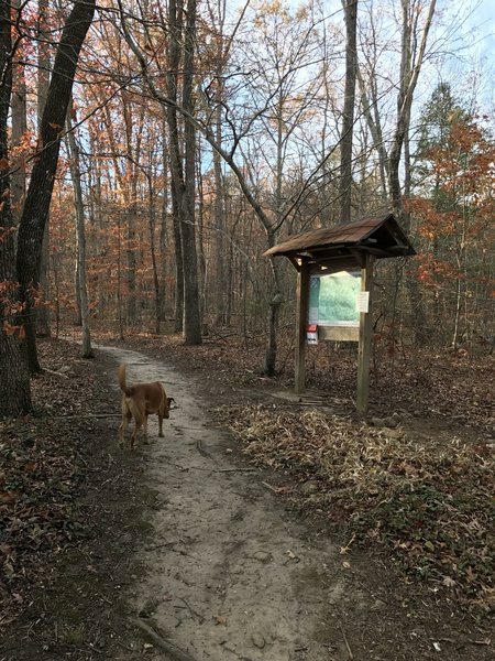 The Blue Ridge School trailhead.