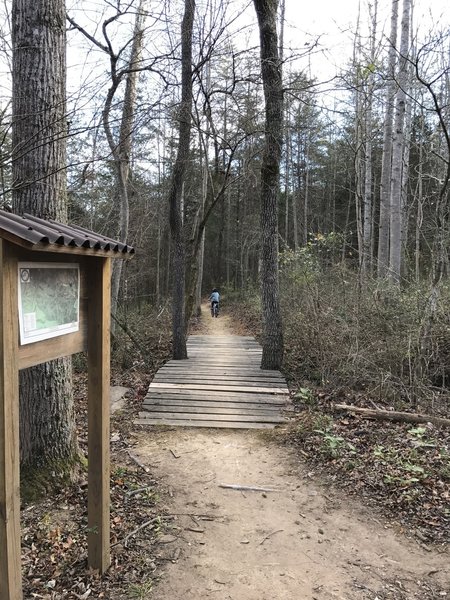 A campsite and bridge on the Chesley Creek Loop