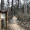 A campsite and bridge on the Chesley Creek Loop