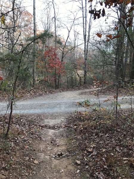 The Chesley Creek Loop crosses over Lawrence Lane before continuing on the other side.