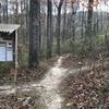 The Chesley Creek Loop crosses the Interpretive Trail at this intersection.