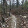 The Chesley Creek Trail crossing over the Interpretive Trail again