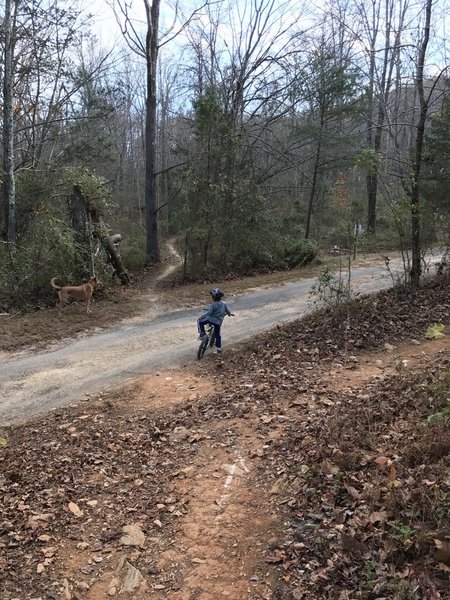 The Chesley Creek Loop crossing Dewey Loving Lane