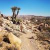 There are lots of beautiful rocks on this trail.