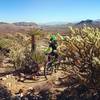 Cactus garden in late night trail.. desert riding at its best nowadays