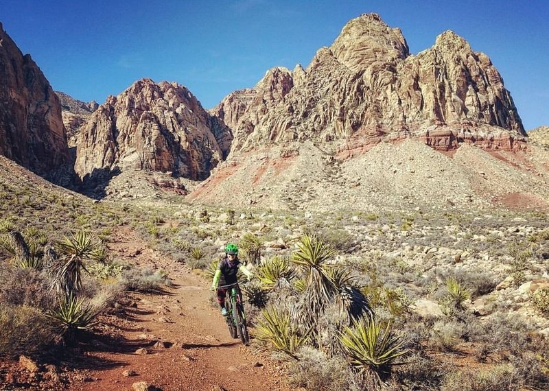 Black Velvet Canyon in the background