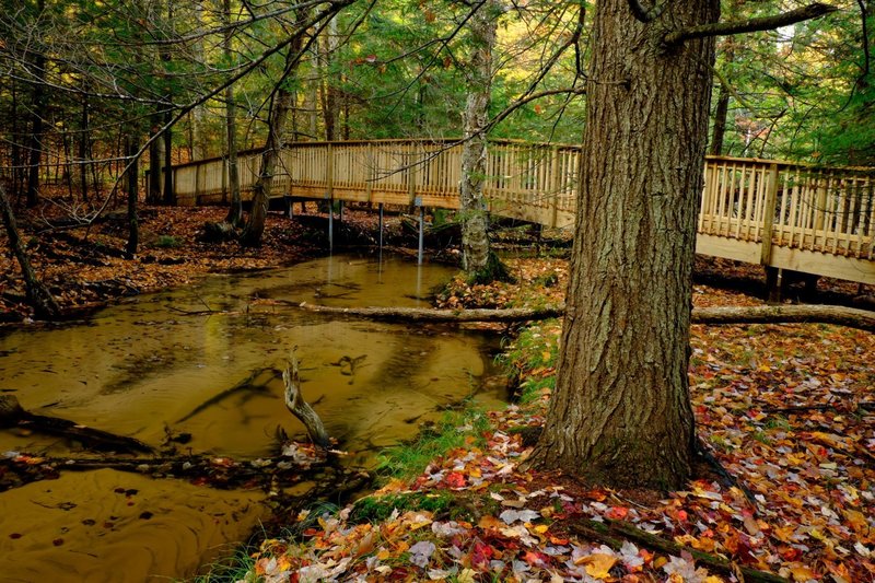 Bridge over the West Branch of the Minnehaha Creek