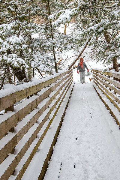 Bridge over the Minnehaha Creek