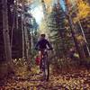 Fall is for great riding and aspen leaves blanketing the trail.