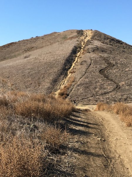 This end of the trail is badly rutted.