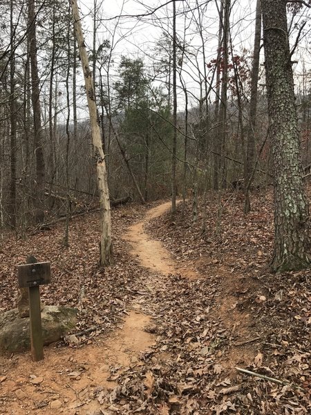 Smooth singletrack along the Twin Lakes Trail