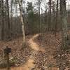 Smooth singletrack along the Twin Lakes Trail