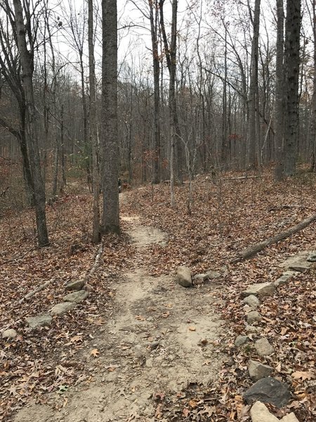 The intersection with Deane's Trail