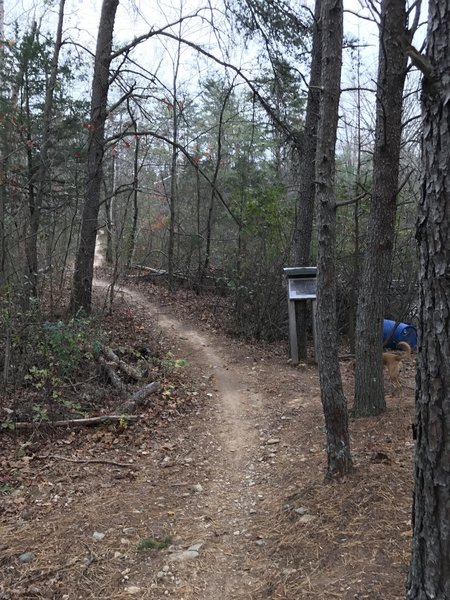 The trail junction to Hidden Lake