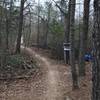 The trail junction to Hidden Lake