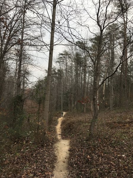 A great set of bumps on the Twin Lakes Trail