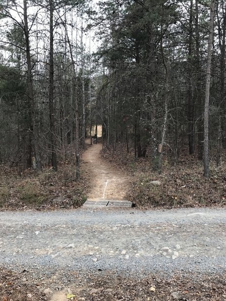 Twin Lakes Trail crossing Lawrence Lane