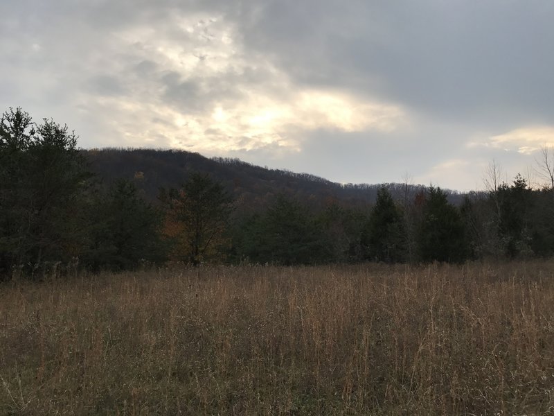 A scenic view of mountains and grasses along the Twin Lakes Trail