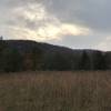 A scenic view of mountains and grasses along the Twin Lakes Trail