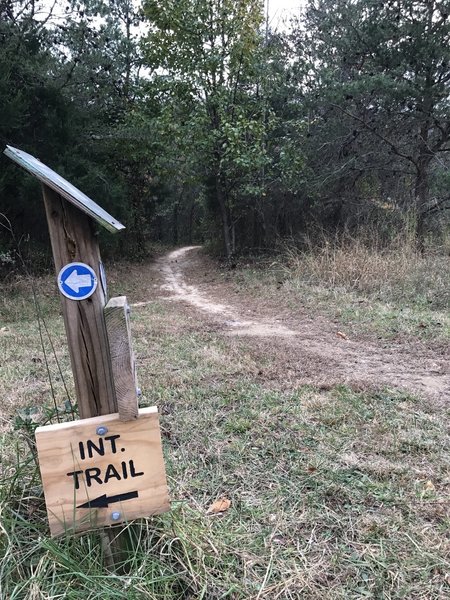 The junction of the Interpretive Trail with the Twin Lakes Trail