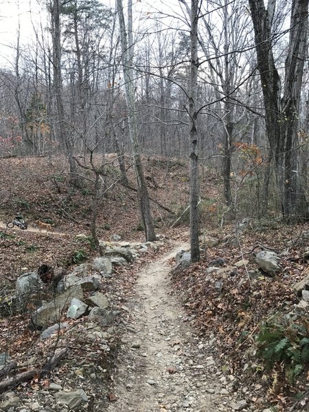 The Twin Lakes Trail heading through rock into a drainage