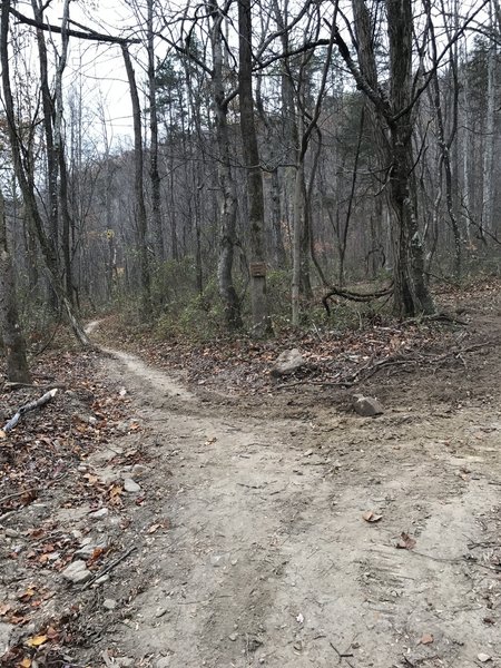 A trail junction on the Twin Lakes Trail